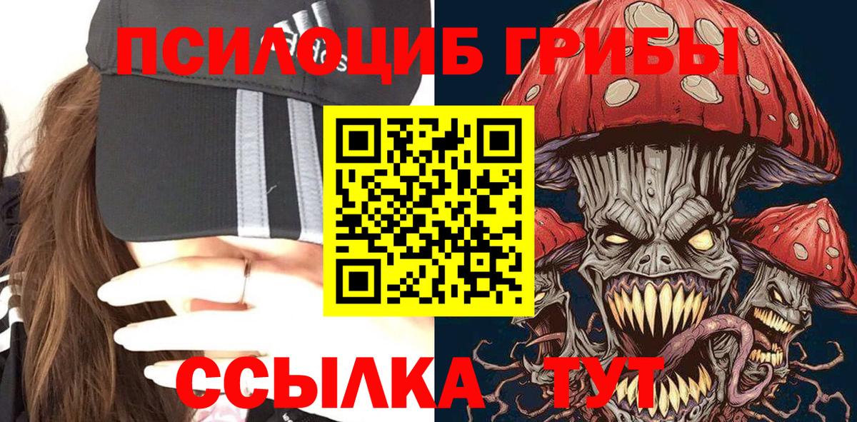Галлюциногенные грибы мицелий  Вход с VPN  Галлюциногенные грибы Psilocybine cubensis  купить наркотики сайты  Волгоград 